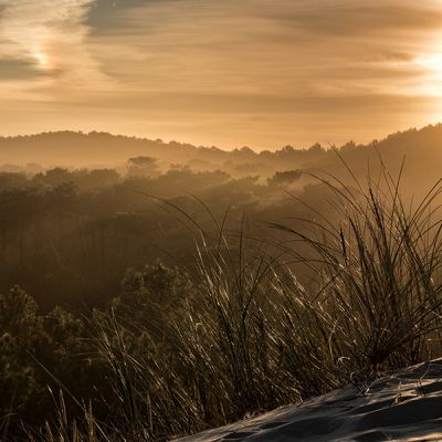 Le bassin d'Arcachon et sa lumière