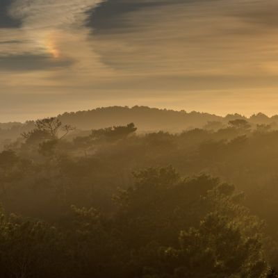 Le bassin d'Arcachon et sa lumière