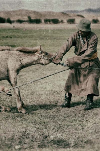 mongolie-for-ever: Le peuple Mongole dans sa steppe natale