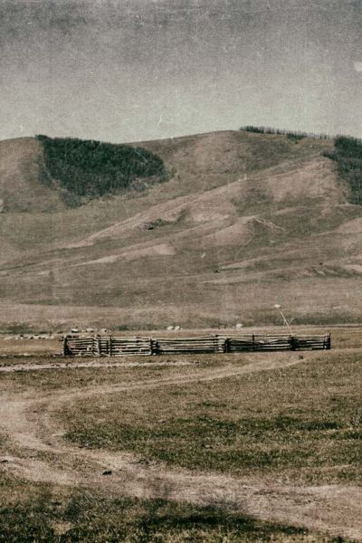 mongolie-for-ever: Le peuple Mongole dans sa steppe natale