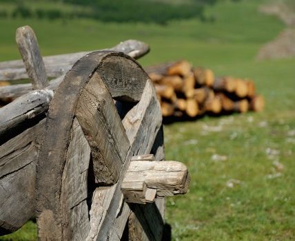 La steppe de Mongolie