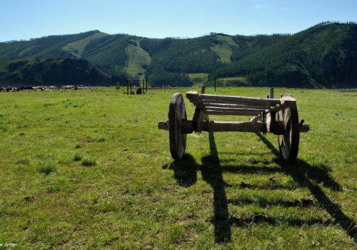 La steppe de Mongolie