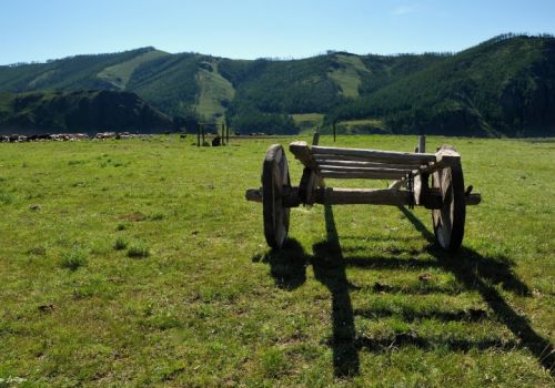 La steppe de Mongolie
