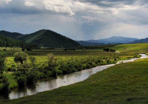 La steppe de Mongolie