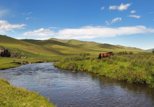 La steppe de Mongolie