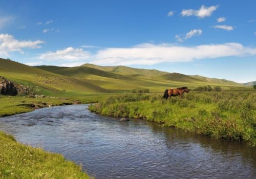 La steppe de Mongolie