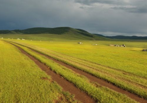 La steppe de Mongolie