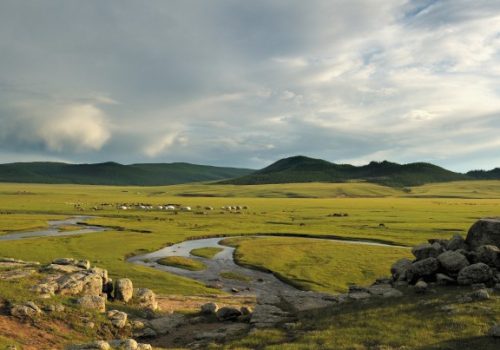 La steppe de Mongolie