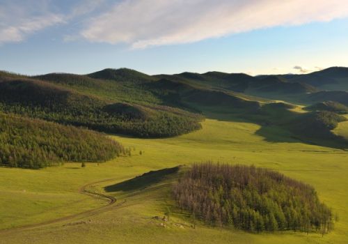 La steppe de Mongolie