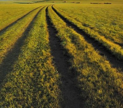 La steppe de Mongolie