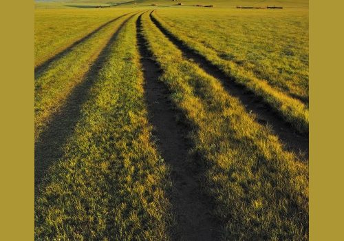 La steppe de Mongolie
