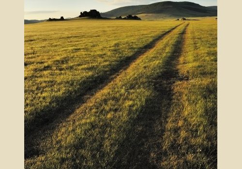 La steppe de Mongolie