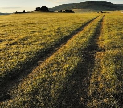 La steppe de Mongolie