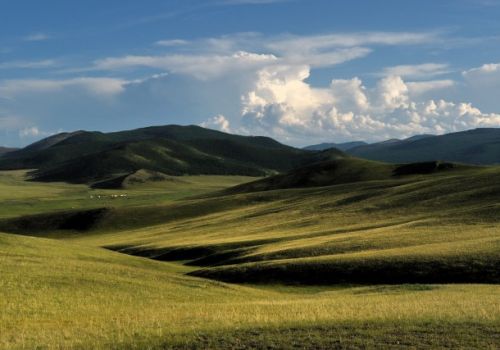 La steppe de Mongolie