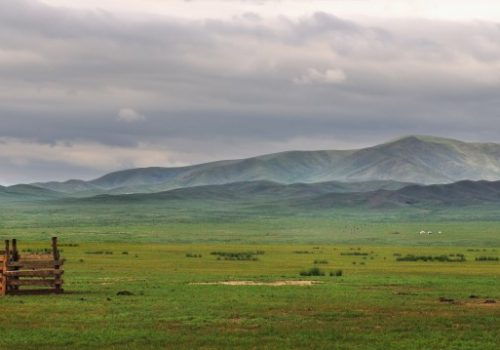 La steppe de Mongolie