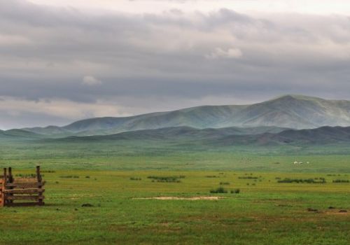 La steppe de Mongolie
