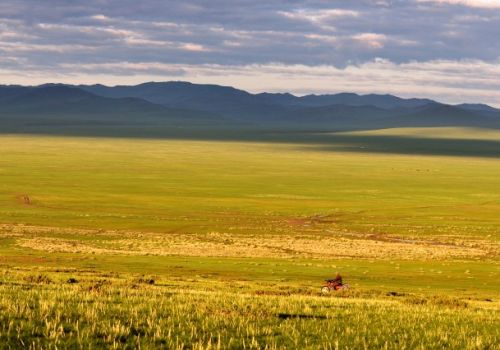 La steppe de Mongolie