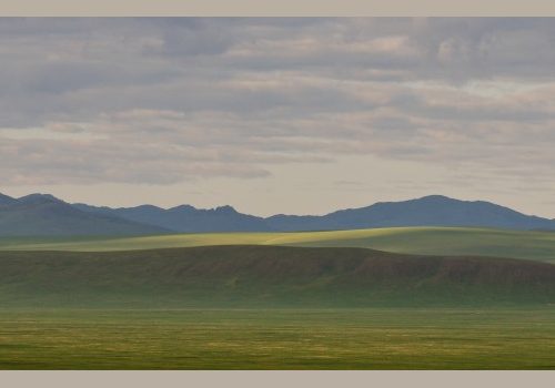 La steppe de Mongolie