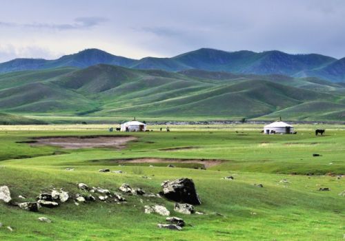 La steppe de Mongolie
