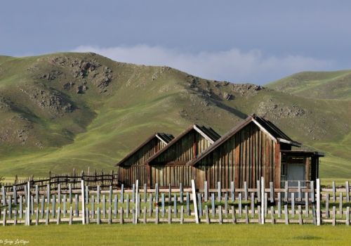 La steppe de Mongolie