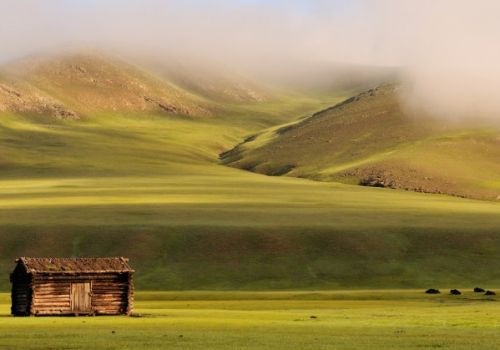 La steppe de Mongolie
