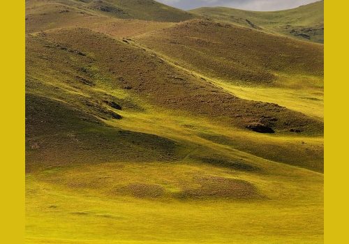 La steppe de Mongolie