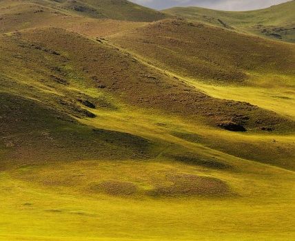 La steppe de Mongolie