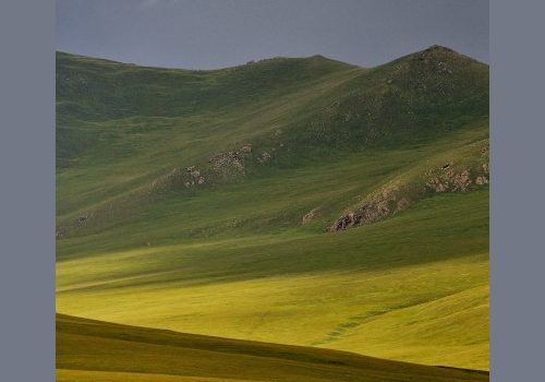 La steppe de Mongolie