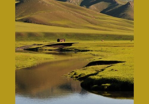 La steppe de Mongolie