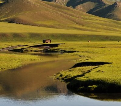 La steppe de Mongolie
