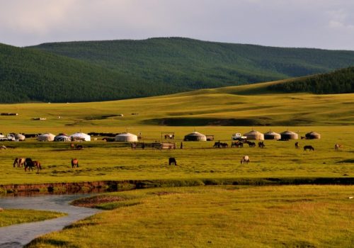 La steppe de Mongolie