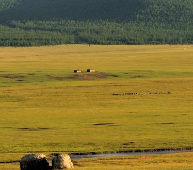 La steppe de Mongolie