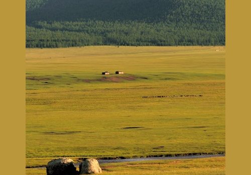 La steppe de Mongolie