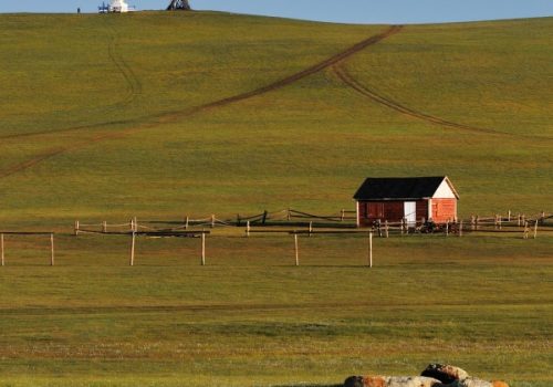 La steppe de Mongolie