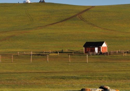 La steppe de Mongolie