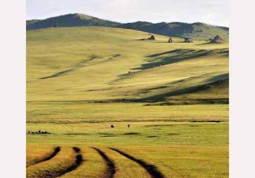 La steppe de Mongolie