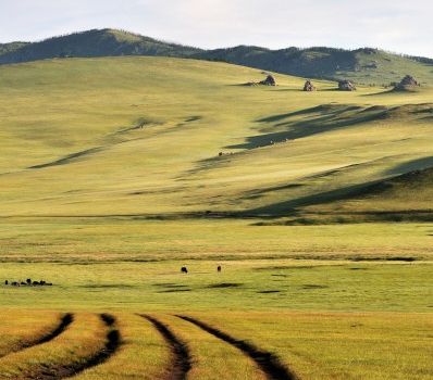 La steppe de Mongolie