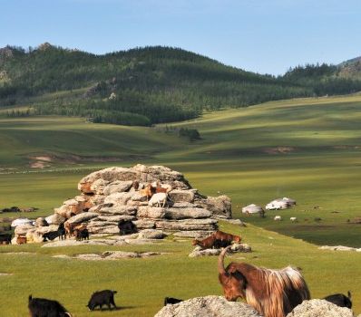 La steppe de Mongolie