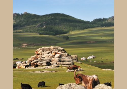 La steppe de Mongolie