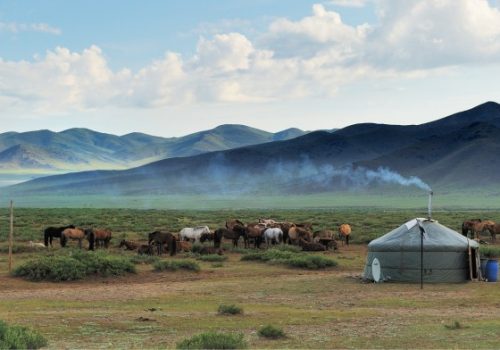 La steppe de Mongolie