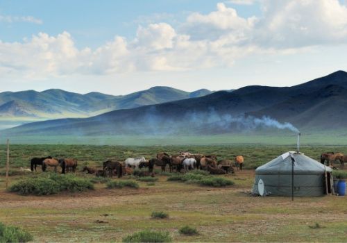 La steppe de Mongolie