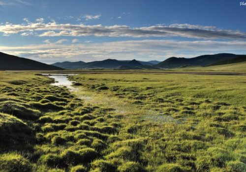 La steppe de Mongolie