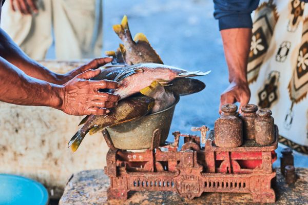 Les pêcheurs de Médéwi sur l' île de Bali