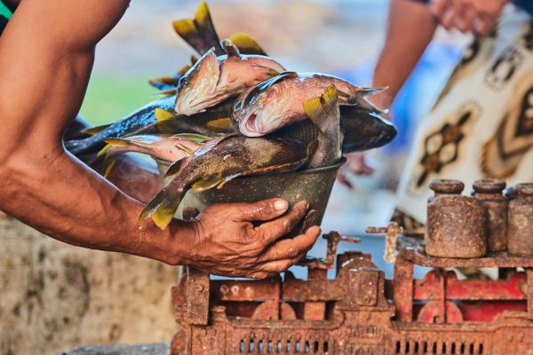 Les pêcheurs de Médéwi sur l' île de Bali