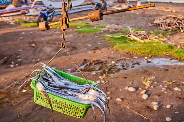 Les pêcheurs de Médéwi sur l' île de Bali