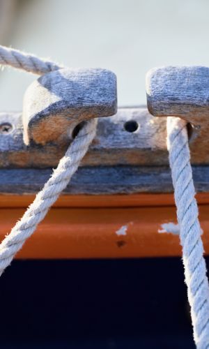pointus-de-bandol-49