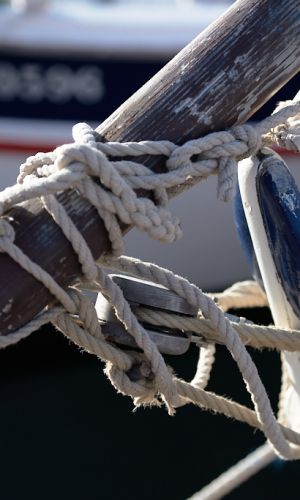 pointus-de-bandol-50