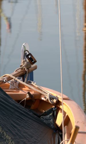 pointus-de-bandol-60